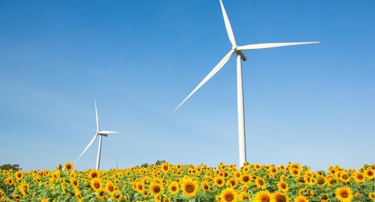 wind-turbine-generator-sunflower-blossom-field-blue-sky_113629-1079
